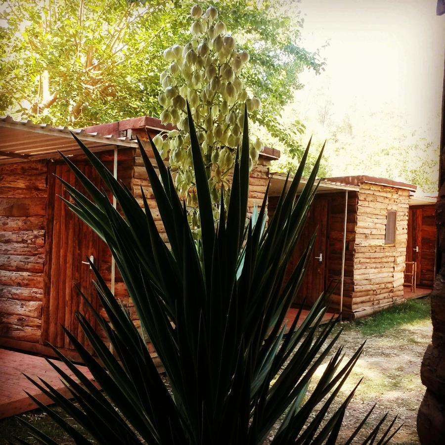 Medusa Camping Patara Luaran gambar